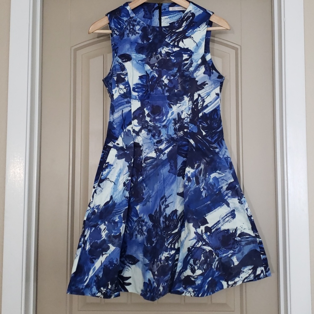 Zara/Trafaluc dress